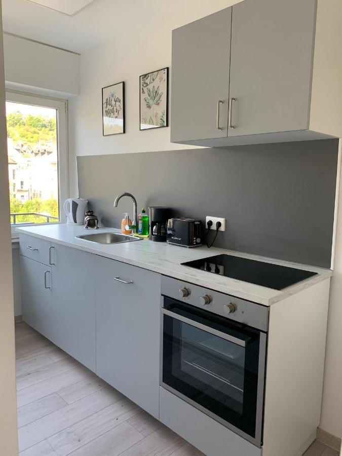 The Hiker City Apartment Coblenza Esterno foto